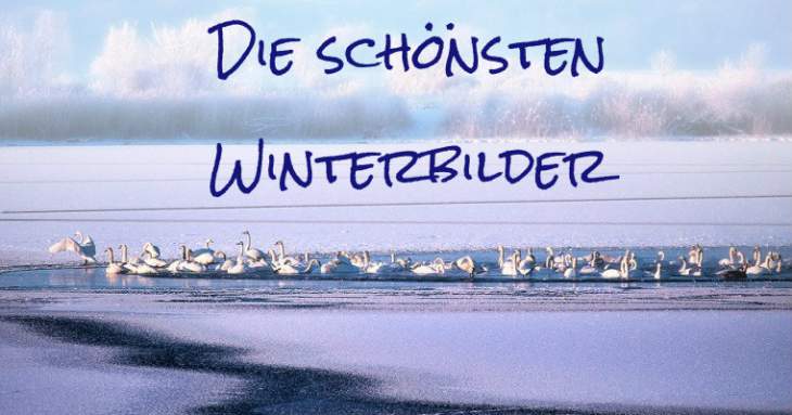 winterbilder für whatsapp 2