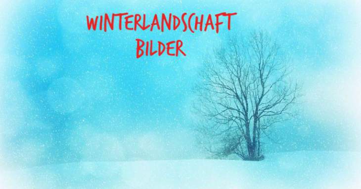 winterbilder für whatsapp 6