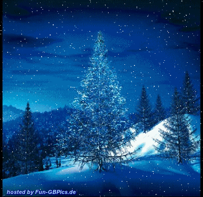 winterbilder kostenlos whatsapp 14
