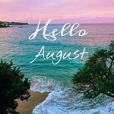 hallo august 2