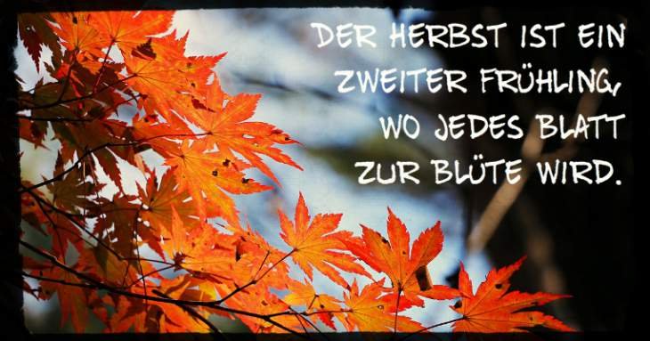 Herbst kostenlos bilder whatsapp Herbst sonntagsgrüße