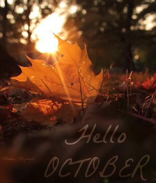willkommen oktober bilder 12